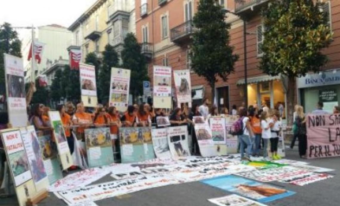 Animalisti contro il Palio di Asti