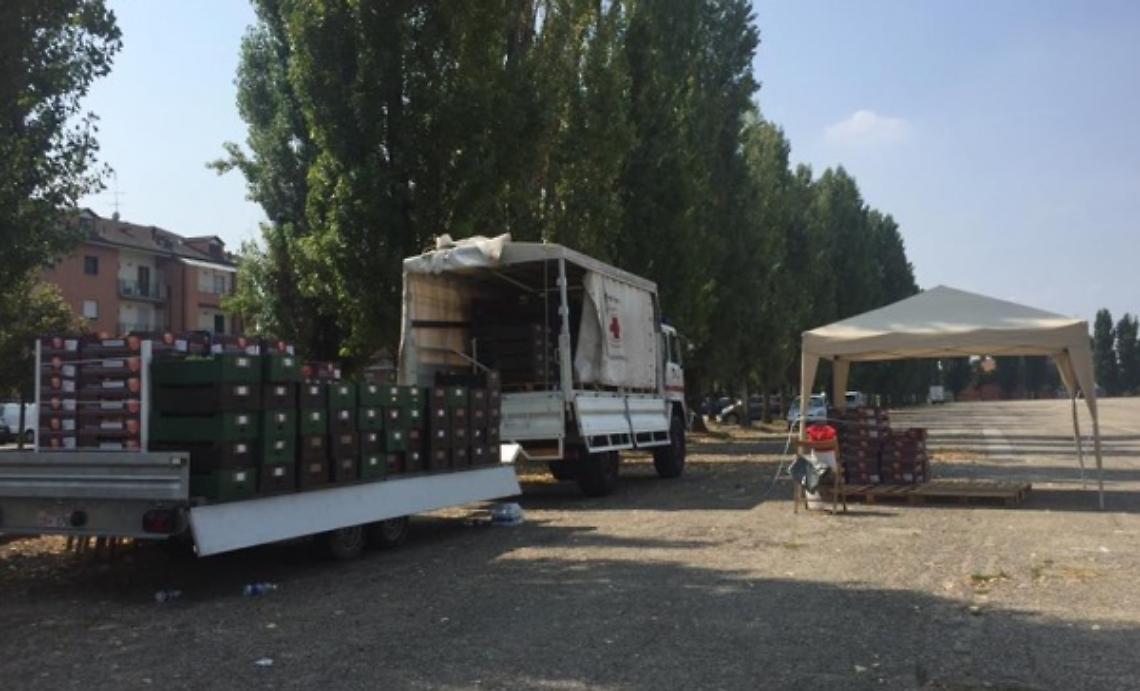 Distribuite 3 tonnellate di frutta gratis