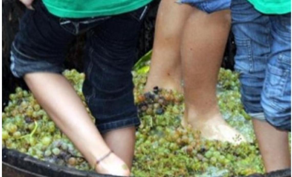 La Festa della pigiatura dell'uva