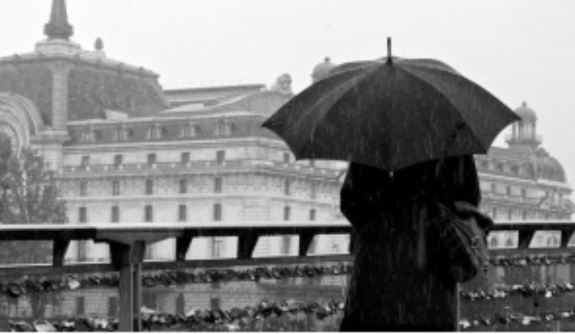 Sciame di insetti e T-Shirt