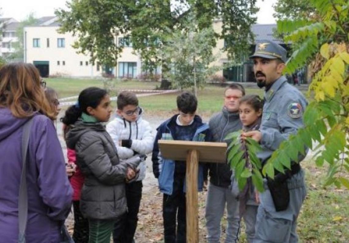 Nel giardino didattico si cammina sugli alberi