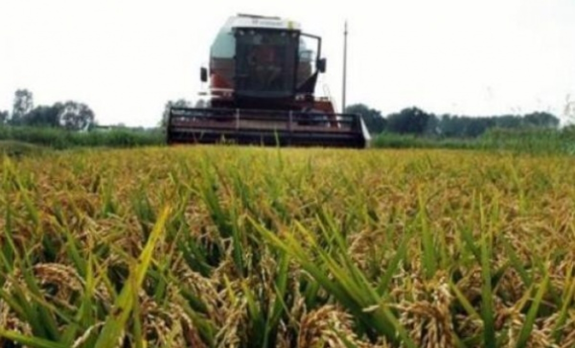 Agricoltura, rinnovato il contratto provinciale