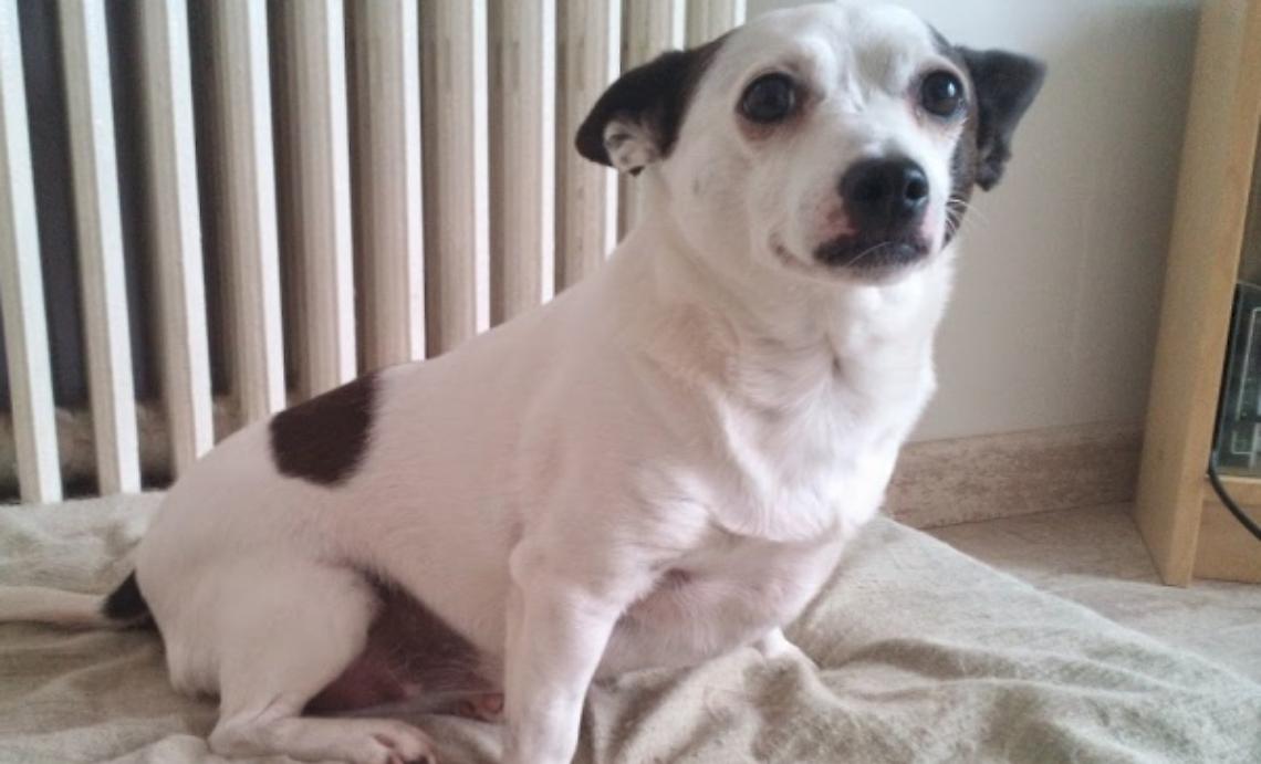 Che fine ha fatto Lul&ugrave;?