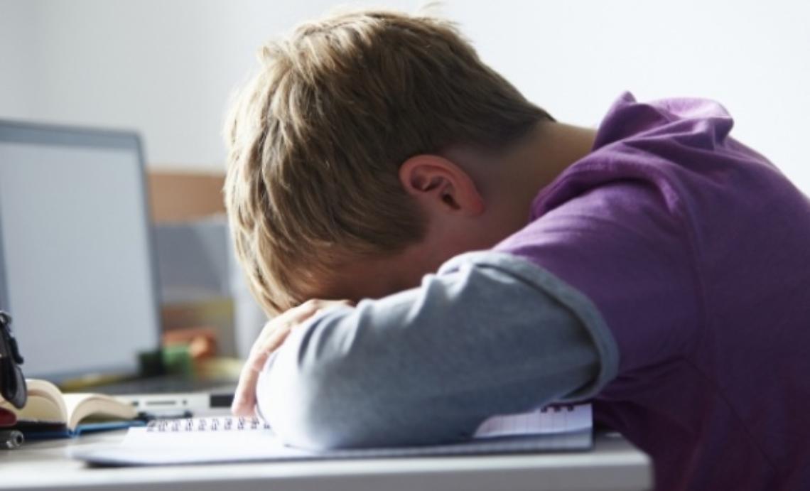 Cyberbullismo: istruzioni per difendersi