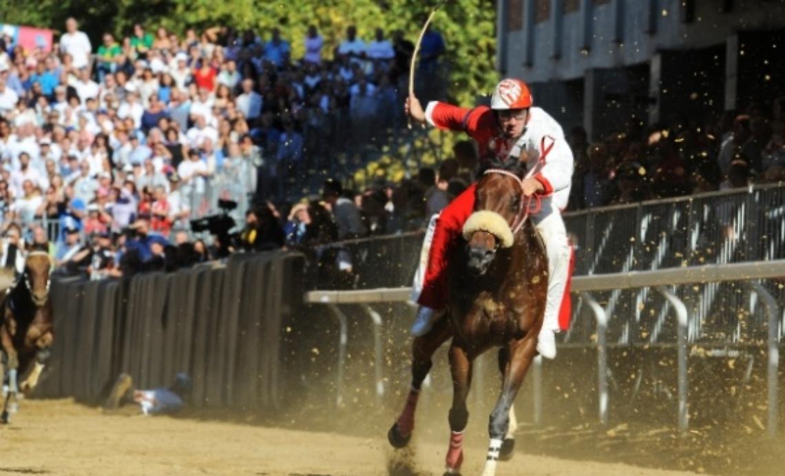 Palio, purosangue: buone notizie da Roma