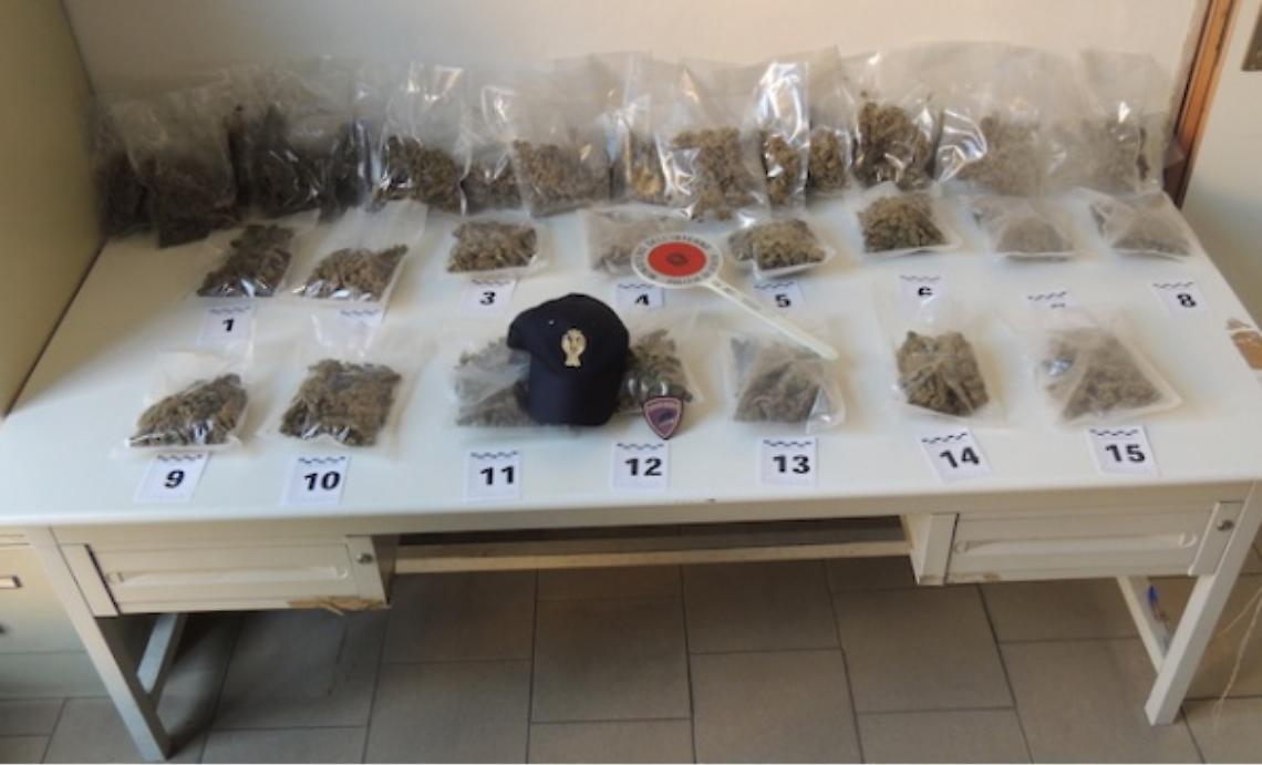Asti: oltre 3 kg di marijuana in un sottotetto