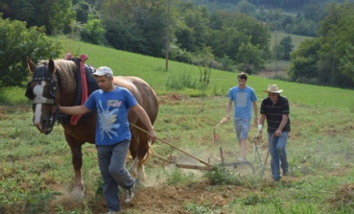 Al San Desiderio laratro &egrave; quello di una volta