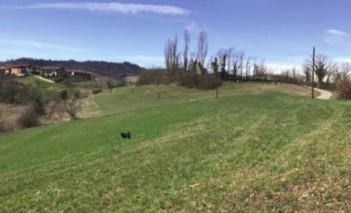 Canuto, stasera riunione, poi si va al Tar