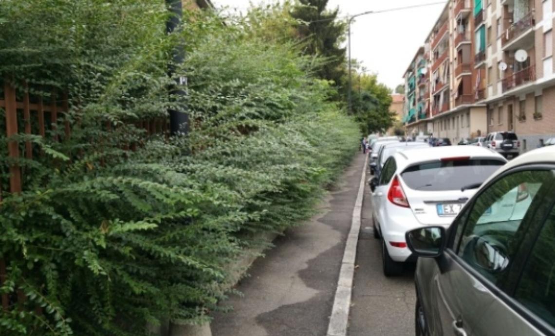 Genitori giardinieri per il decoro della scuola
