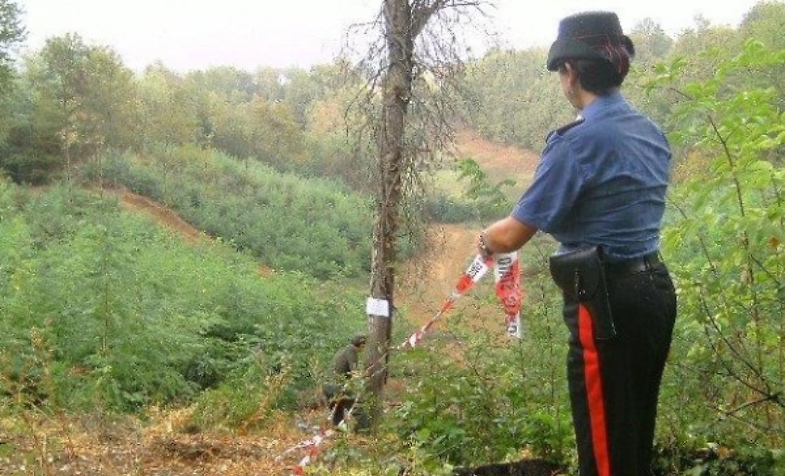I carabinieri sequestrano area boschiva a Rocchetta