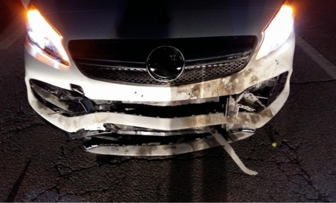 Bollettino "di guerra" di auto contro cinghiali