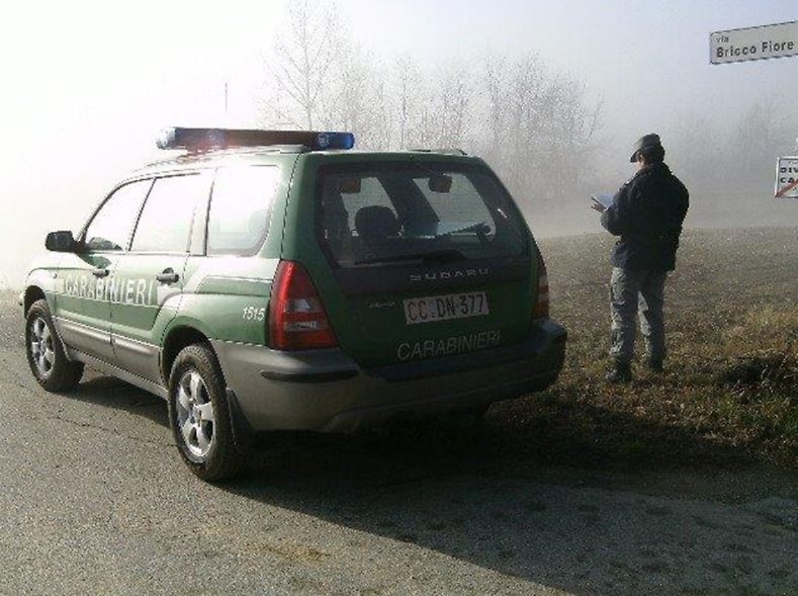 cc forestali cacciatore