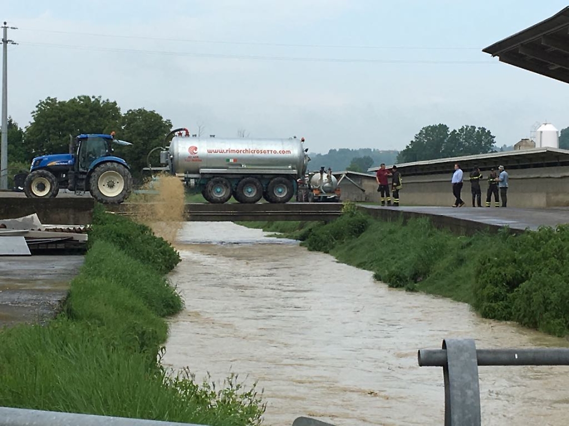 montiglio maiali acqua