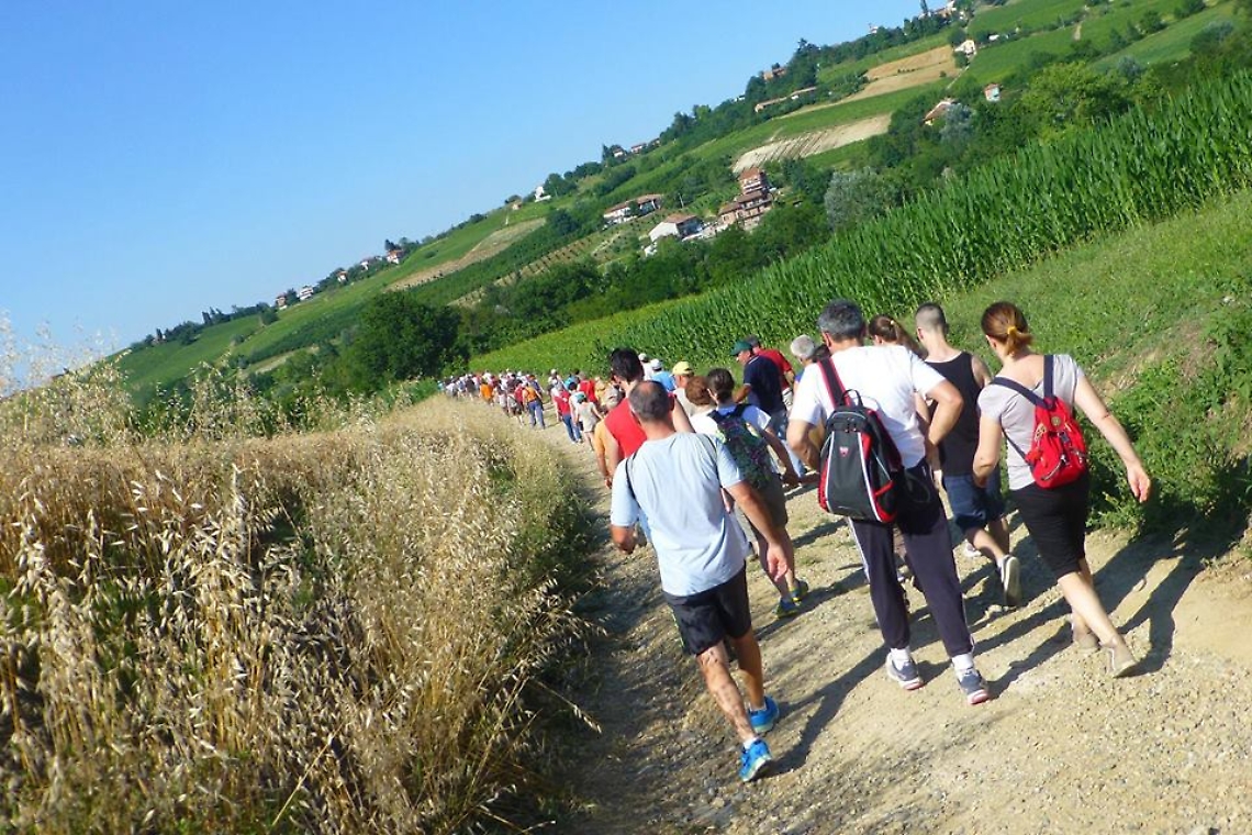 passeggiata rose costigliole