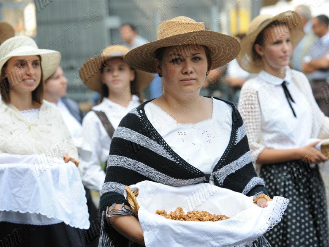 castellero-2014-56ec628d2f11f13