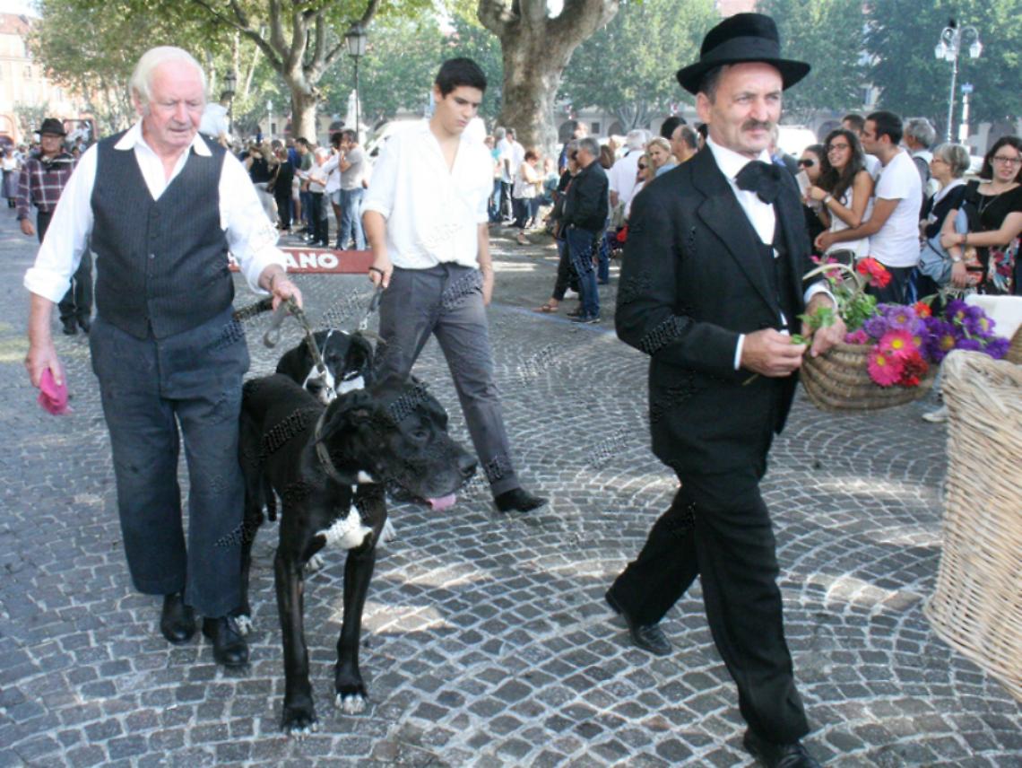 cortazzone-2014-56ec60c6a8b4415