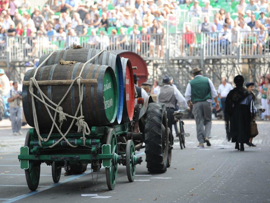 nizza-56ec2dcc9da2617