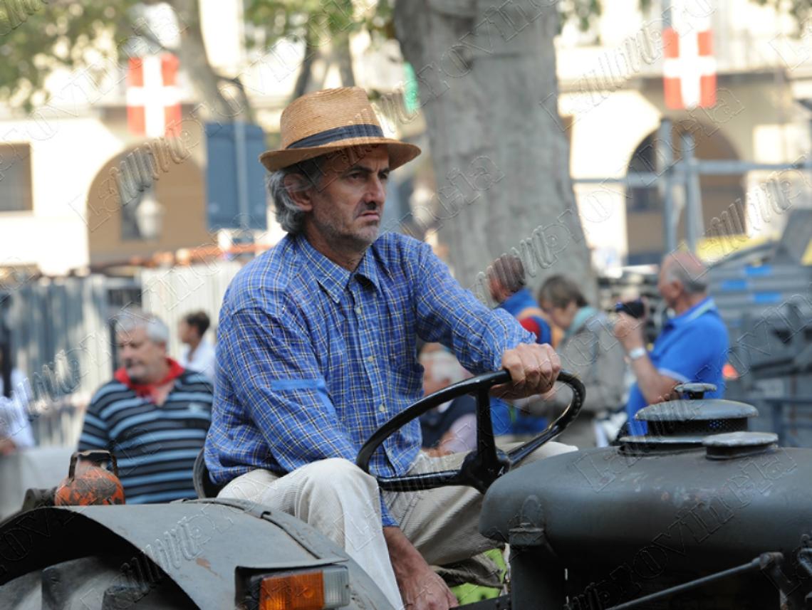 palucco-2014-56ec63234b34b11