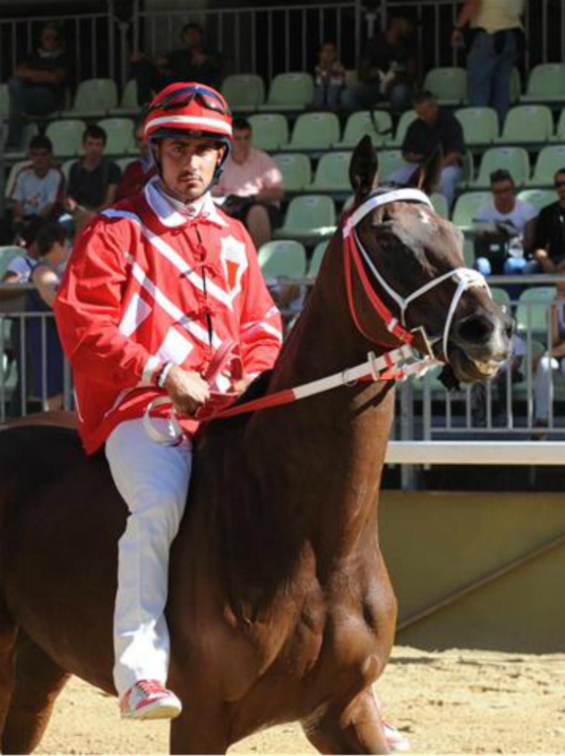 prove-palio-56ec2e8319f1f20