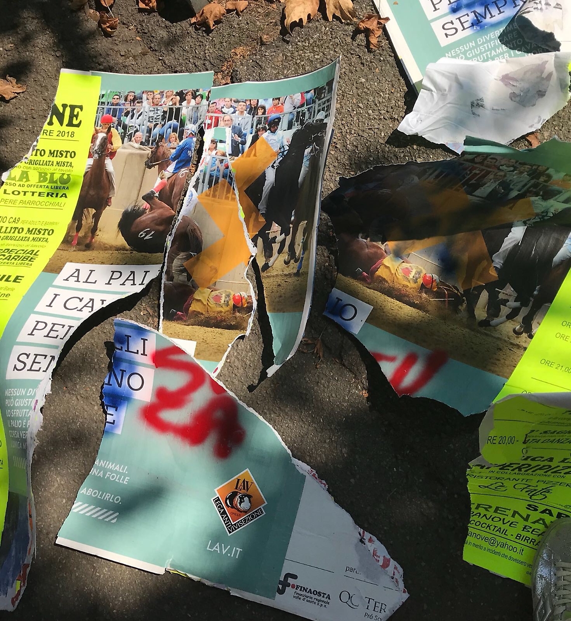 1 foto LAV manifesti stracciati