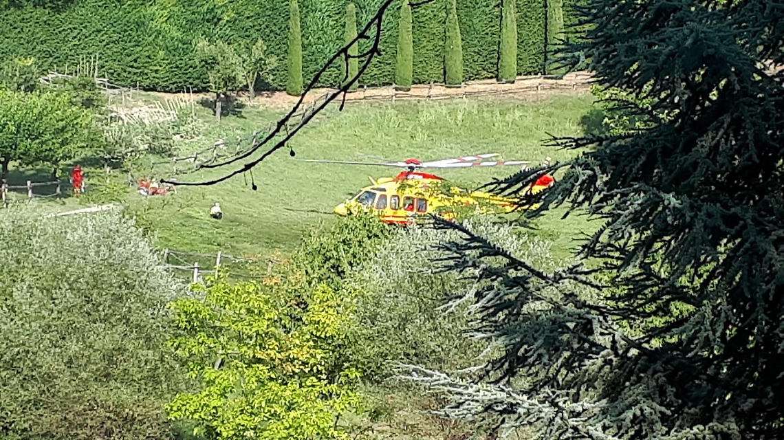 IMG-20180821-WA0011(1)