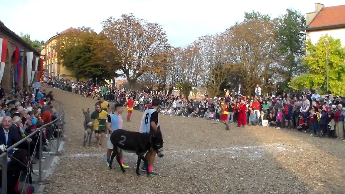 Corsa Asini