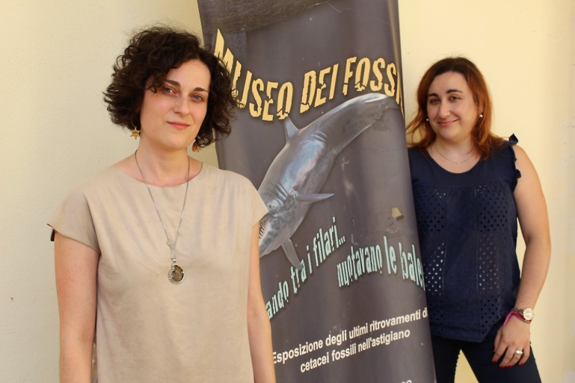 Museo fossili servizio civile