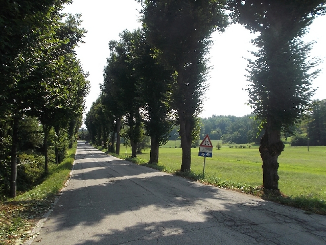 Foto dell&rsquo;Intervento manutentivo partecipato di Spollonatura del Viale storico della Rimembranza dei Caduti della Grande Guerra di Montafia d&rsquo;Asti, domenica 31 luglio 2016, ore 7.00.