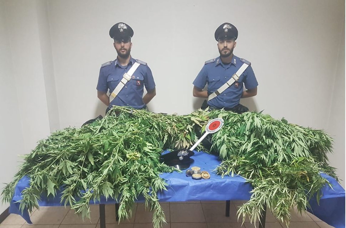 carabinieri marijuana