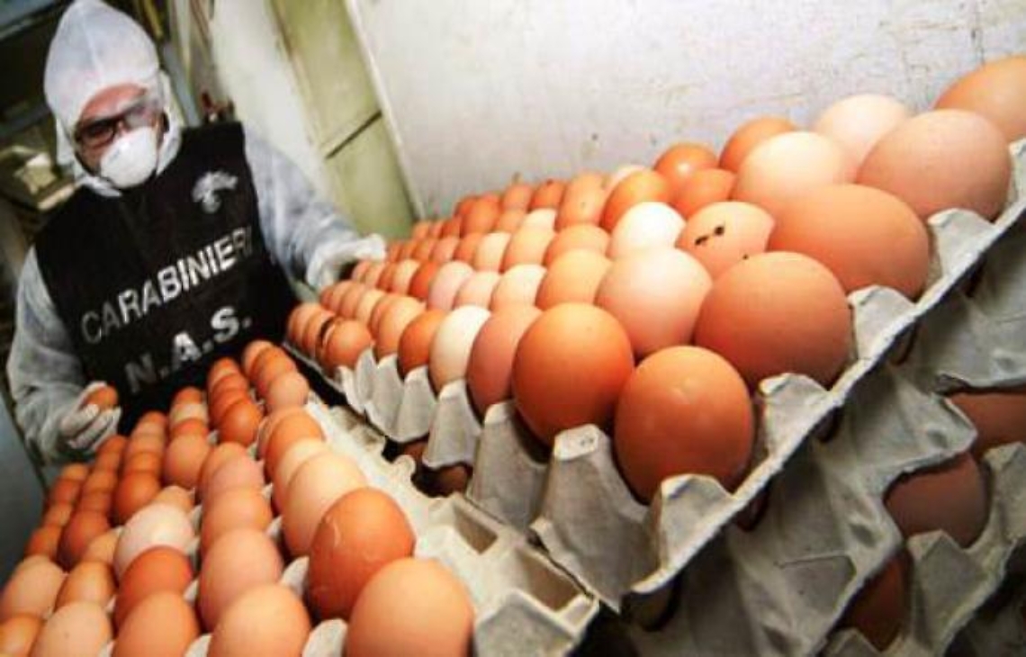 1538216871329.jpg--catania__in_un_punto_vendita_lidl__sequestrate_uova_marce_indicate_come__fresche_
