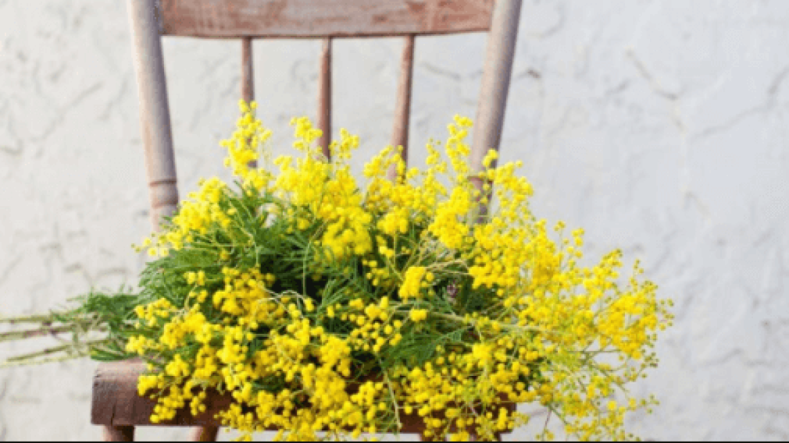 Schermata-2018-03-05-alle-15.42.26