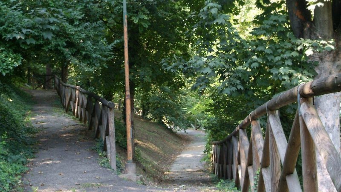 bosco dei partigiani