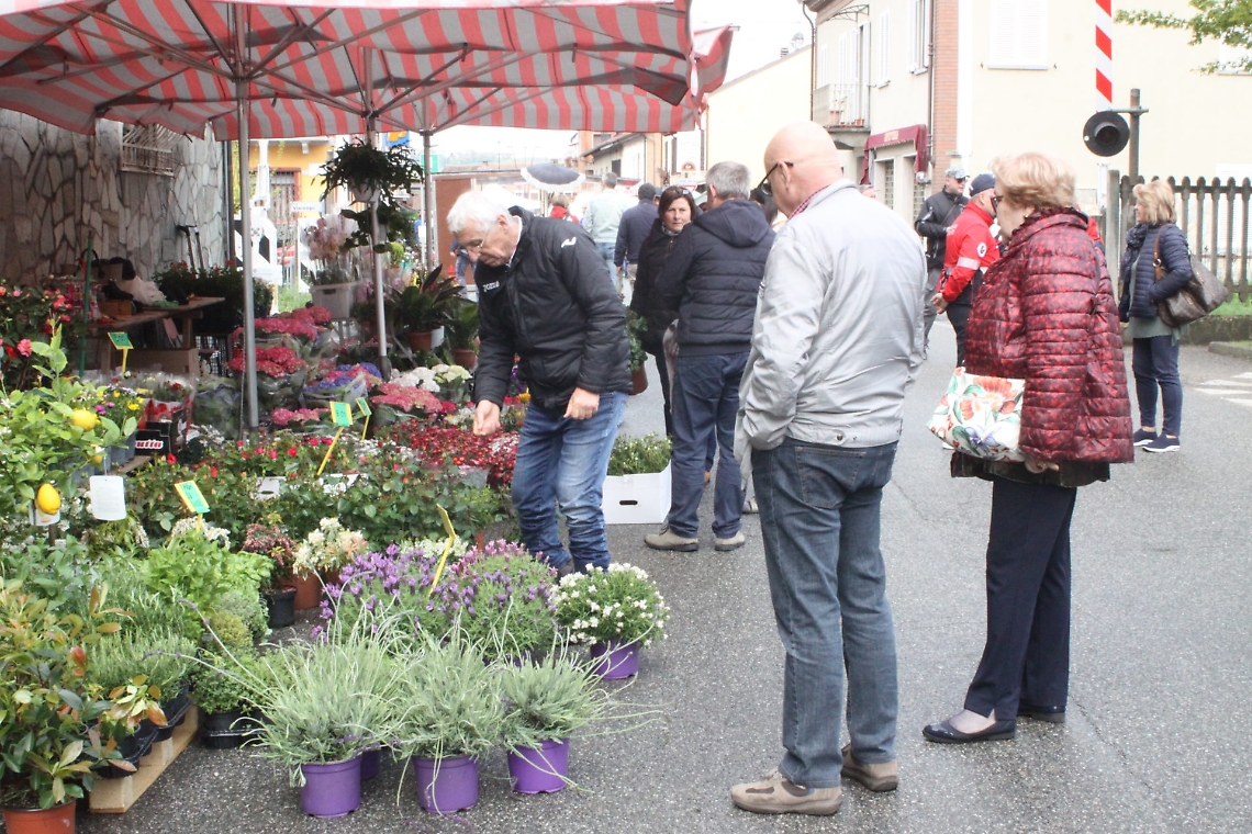 ortogiardinovino &amp; dispensa