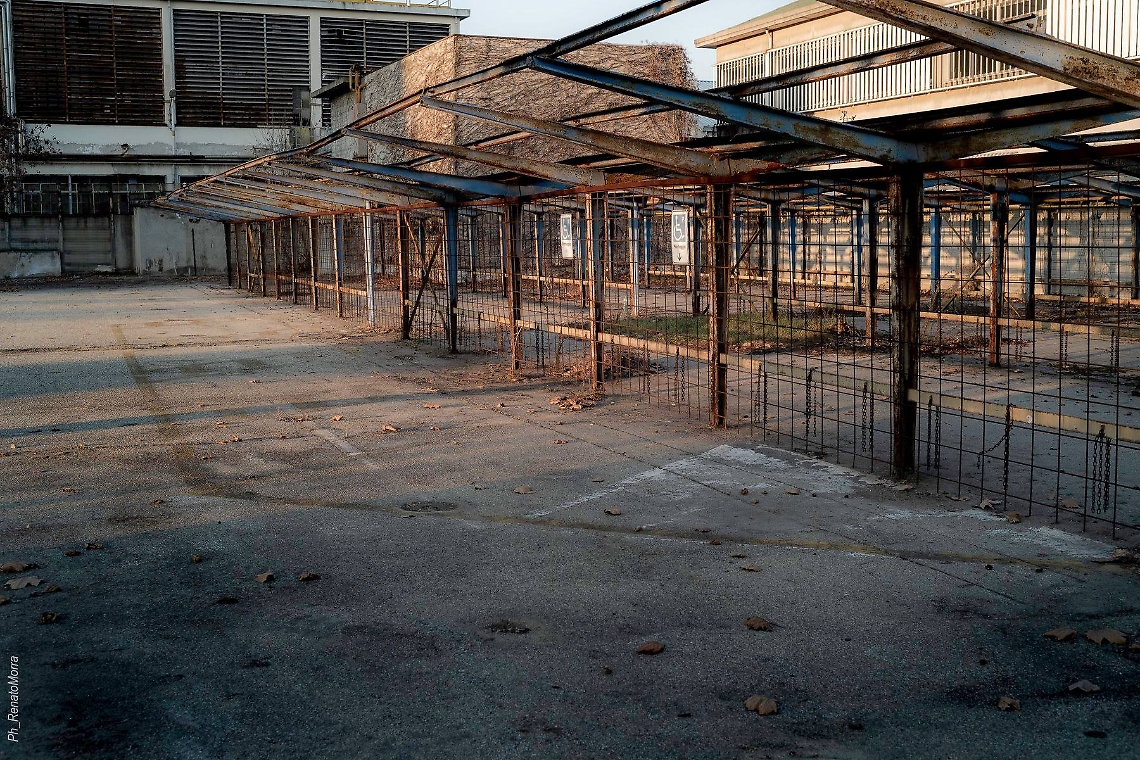 Way Assauto2 di Renato Morra