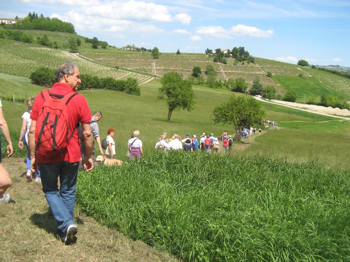 camminata castagnole lanze