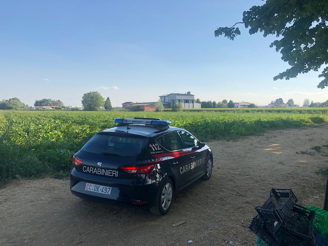 46c35b50-7b88-4fbc-a455-35c6c8319fa4