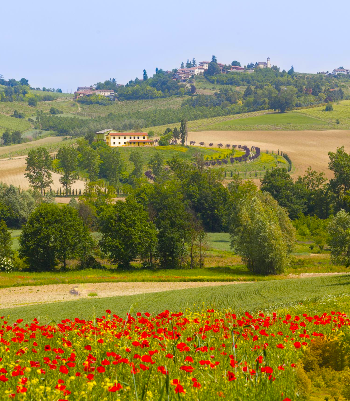 Il Monferrato Autentico