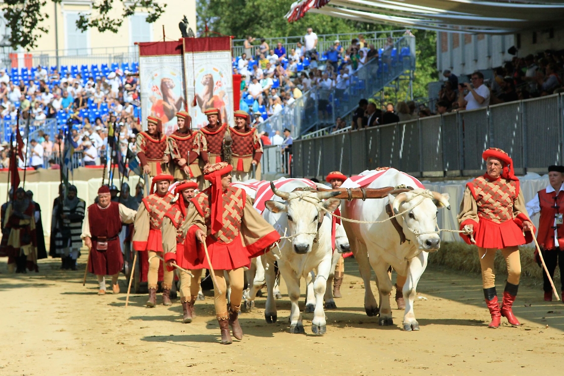 Momenti di Palio di Asti 201907