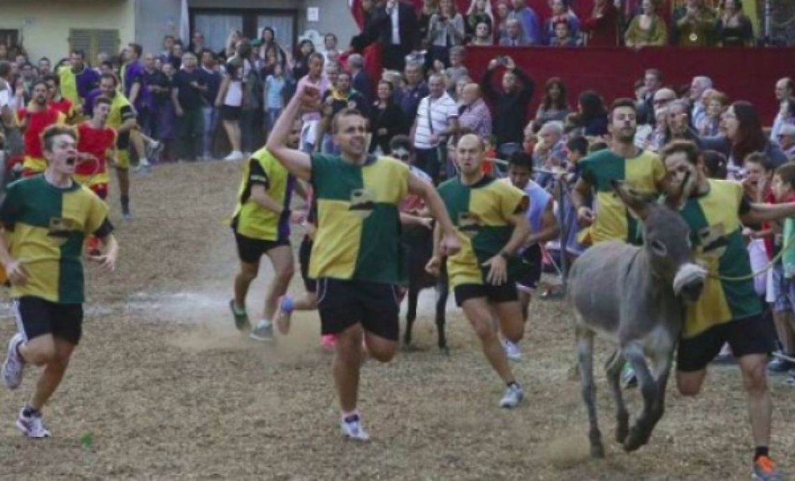 Palio degli asini Cocconato due