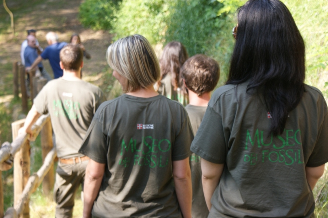 Servizio civile Museo dei fossili