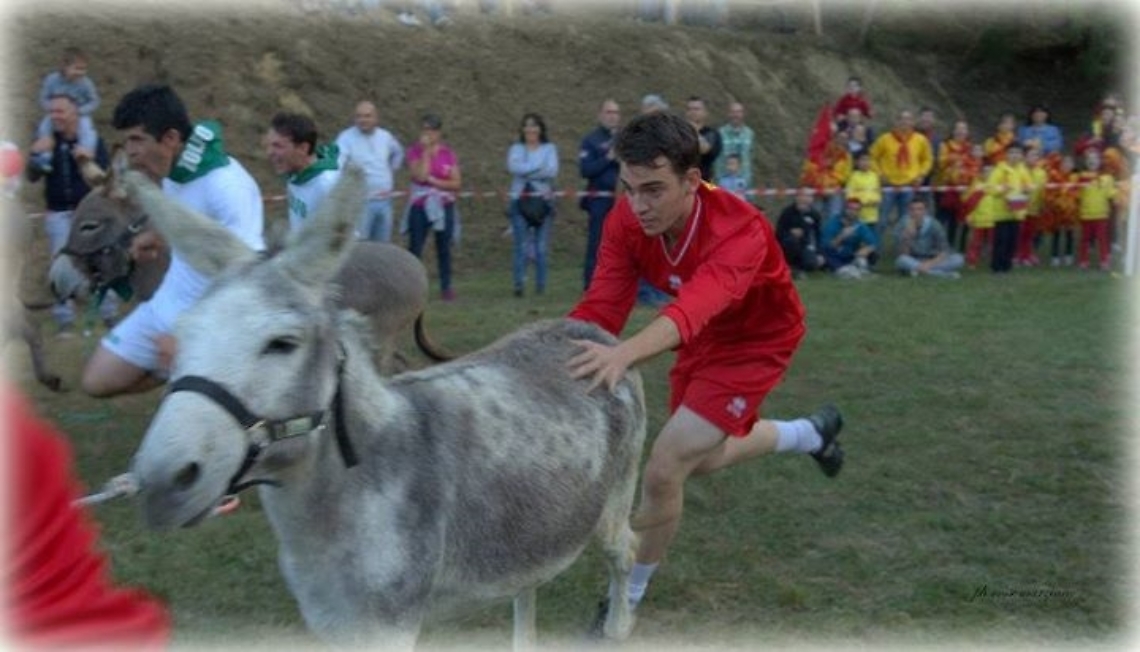 Palio Asini Montafia