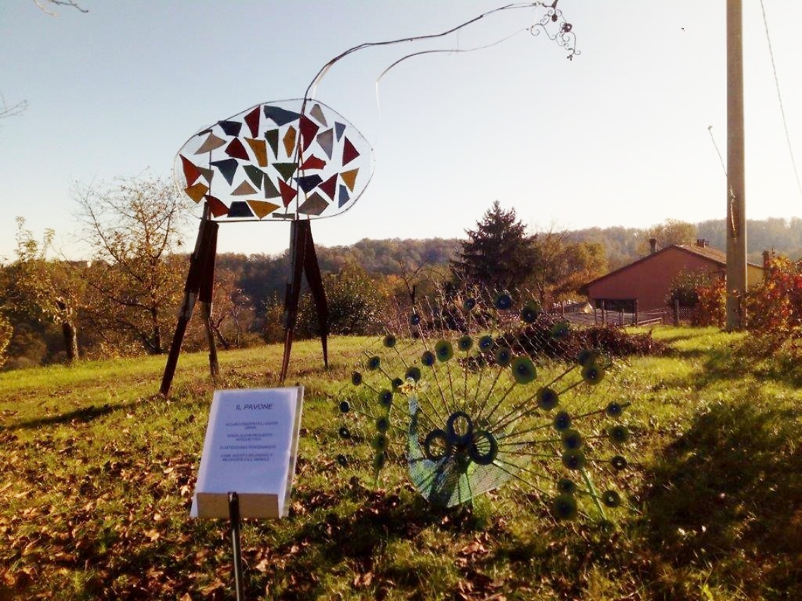 zoo di ferro a Rocca d'Arazzo 05