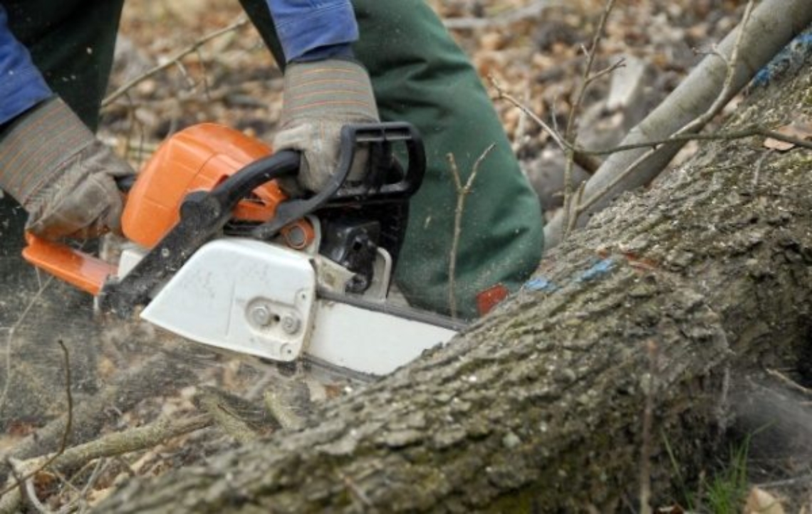 FCB9B9A6-34A6-46CD-8D31-E95D90F44CE9