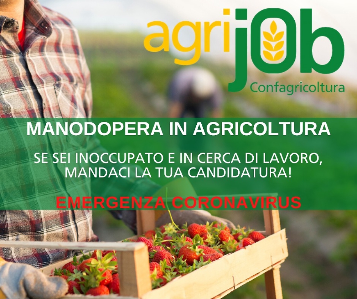Agrijob immagine