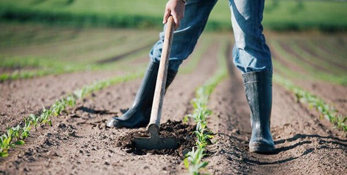 Lavoratori agricoltura