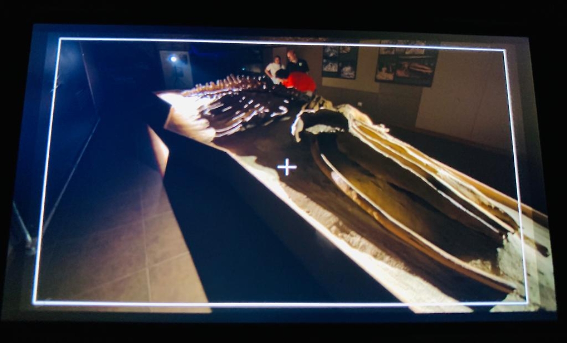 Rai Storia al Museo Paleontologico di Asti