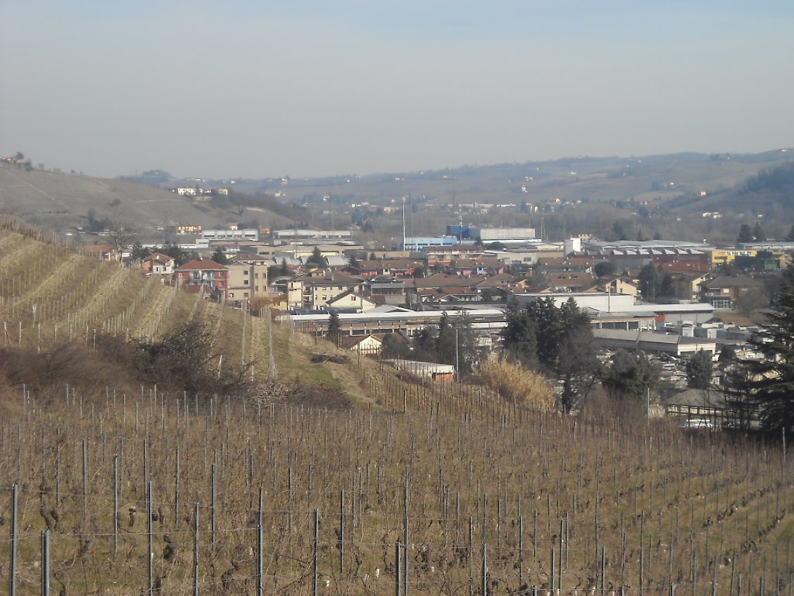 Vigne e zona industriale