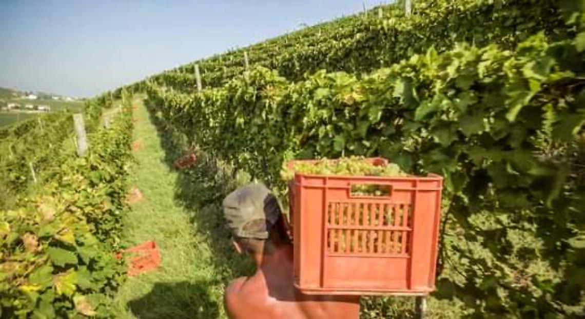 A941540F-6A1E-4F6F-AB8F-62020E578B39