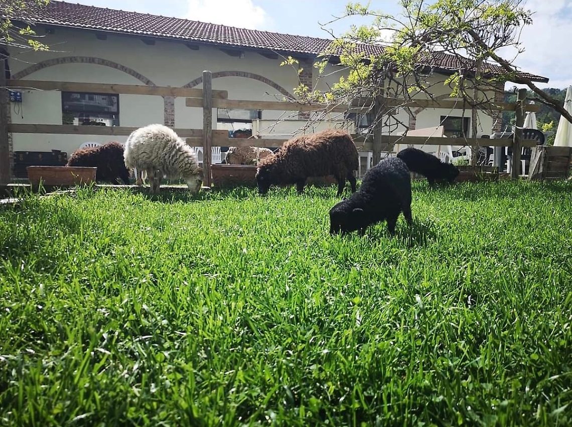 D99C7008-101C-4DAD-9DAD-2ECDCC8C372F