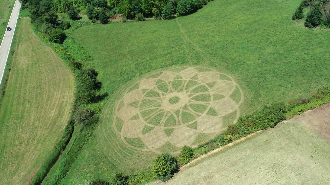 Cerchio nel grano di Portacomaro